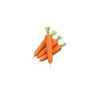 Каталог моркови