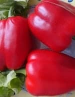 Перец сладкий калифорнийское чудо Перец сладкий калифорнийское чудо