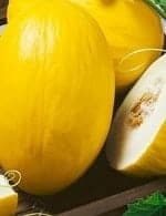 Дыня золотистая Дыня золотистая