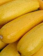 Кабачок желтоплодный Кабачок желтоплодный